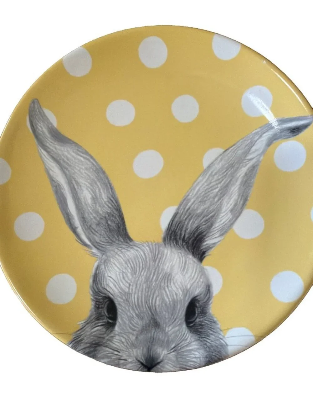 2 Pier 1 Imports Easter Bunny Ears Porcelain 8